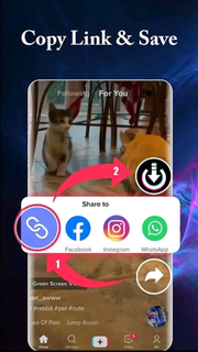 Snap Tik - TT Video Downloader PC