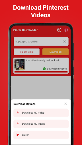 Video Downloader for Pinterest PC