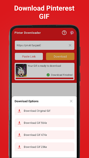 Video Downloader for Pinterest PC