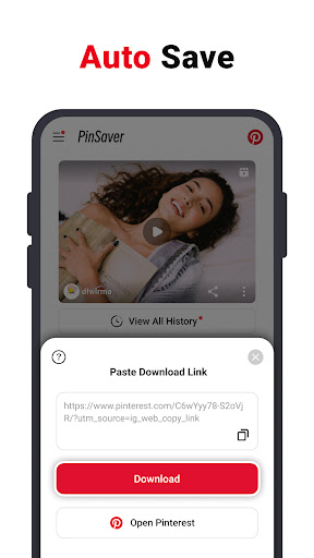 Video Downloader for Pinterest PC