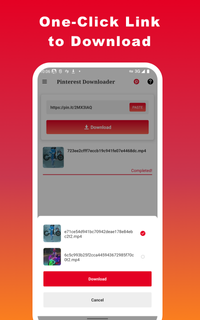 Video Downloader for Pinterest PC