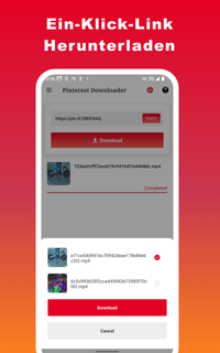 Video Downloader für Pinterest