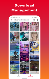 Video Downloader for Pinterest PC