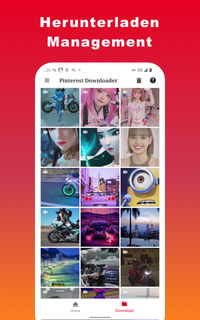 Video Downloader für Pinterest