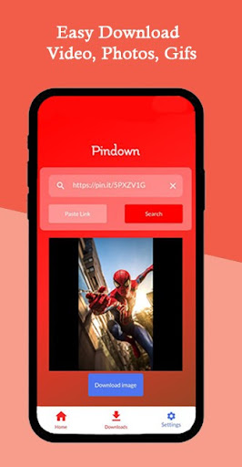 Pinterest Video Downloader PC