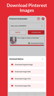 Video Downloader for Pinterest PC