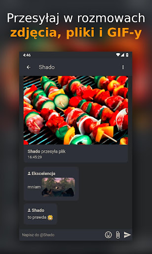 Polfan - chat, czat online PC