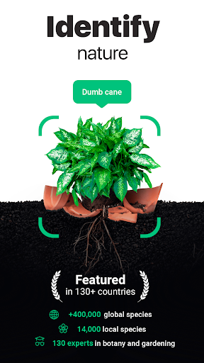 NatureID - Plant Identifier