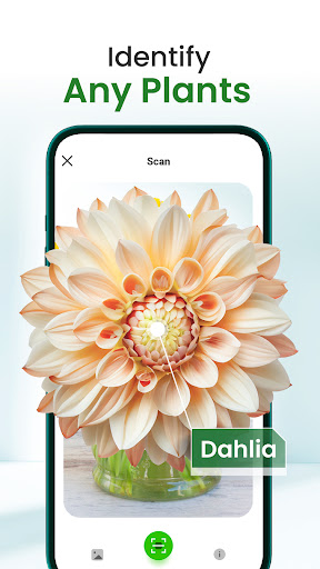 Florify: AI Plant Identifier پی سی