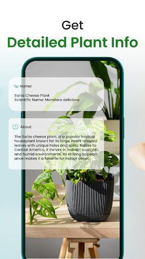 Florify: AI Plant Identifier پی سی