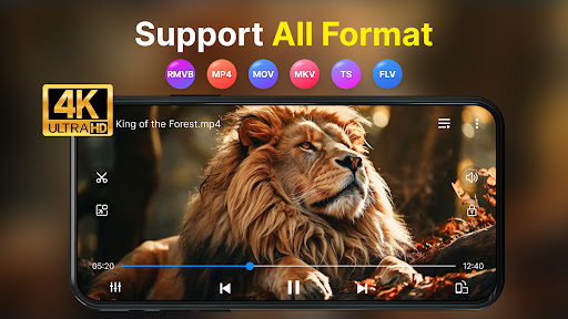 HD Video Player - Media Player PC