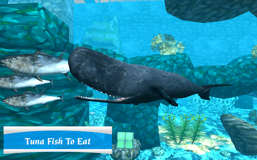 komputer Whale Sim - Sea Eater