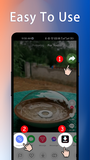 VideoSaver : Watermark Remover PC