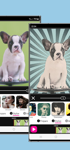 Toonita Video: Pop Art Filters PC