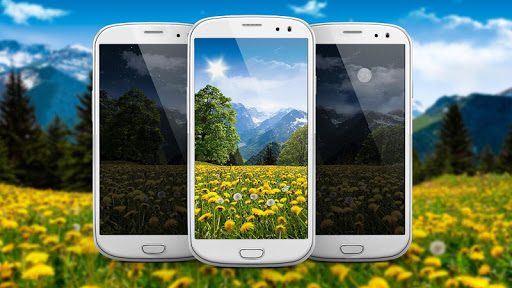 Summer Dandelion Live Wallpap پی سی