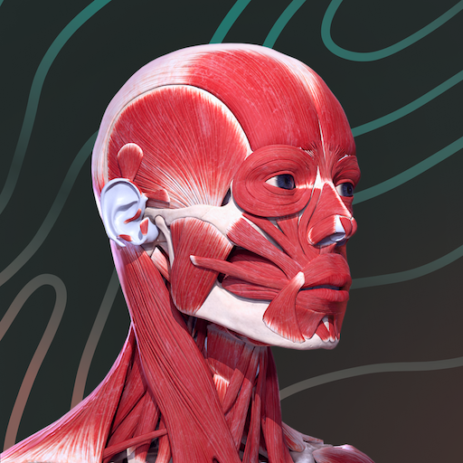 Easy Anatomy
