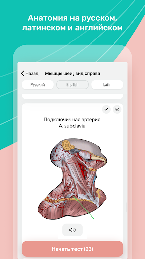 Easy Anatomy ПК