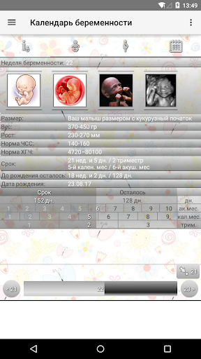 Календарь беременности para PC