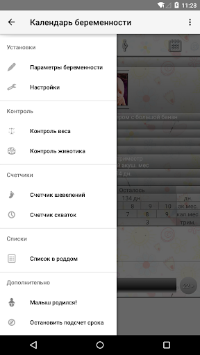 Календарь беременности PC