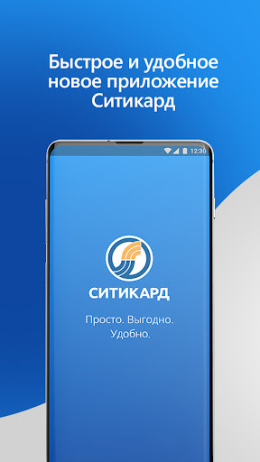 Ситикард ПК