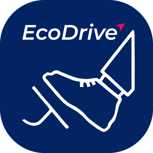 Proffit EcoDrive电脑版