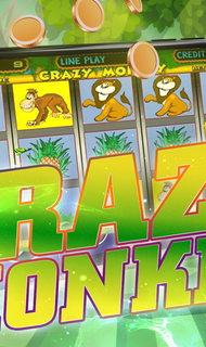 Crazy monkey PC