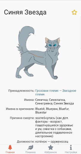 Коты-Воители. Герои книг ПК