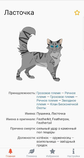 Коты-Воители. Герои книг ПК