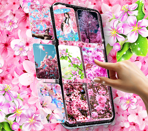 Sakura flowers live wallpaper PC