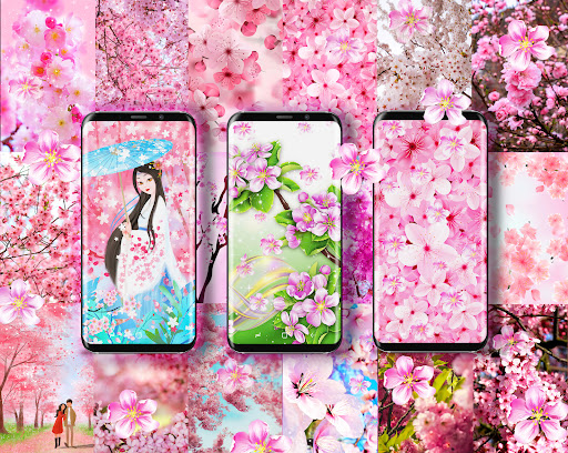 Sakura flowers live wallpaper PC
