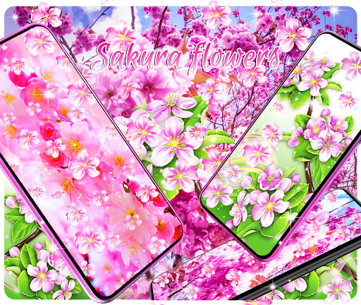 Sakura flowers live wallpaper PC
