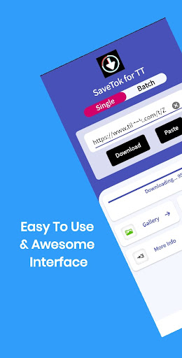 SaveTok Pro- Downloader for TT PC
