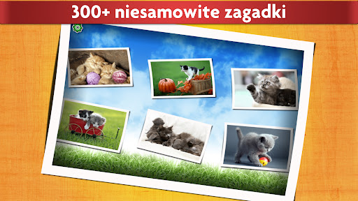 Gra logiczna kotami dla dzieci PC