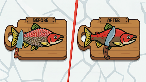Catch and Feed