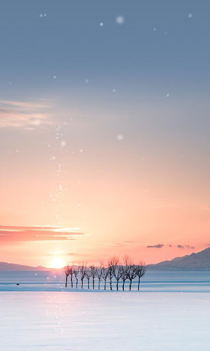 深雪の白田ライブ壁紙 PC