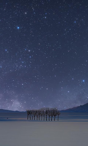 深雪の白田ライブ壁紙 PC