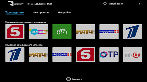 Медведь ТВ ПК