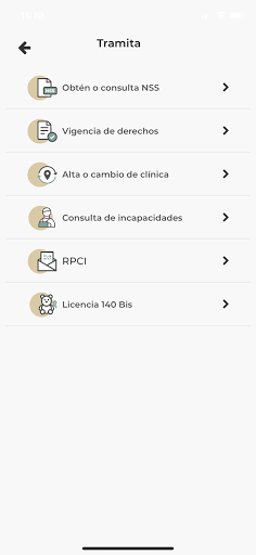 IMSS Digital