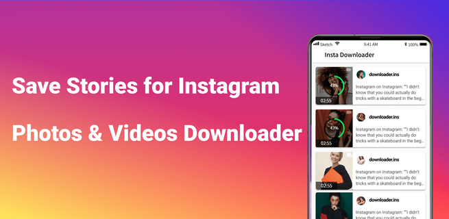 Video Downloader, Story Saver PC