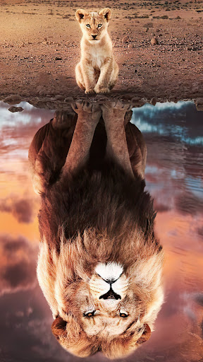 شیر وال پیپر پی سی