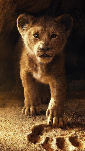 شیر وال پیپر پی سی