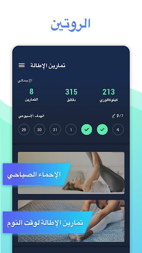 تمارين الإطالة والمرونة الحاسوب