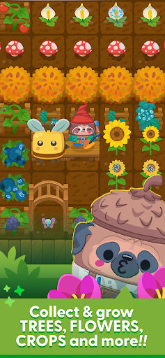 Magic Garden