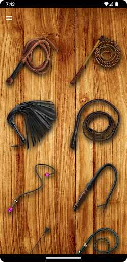 Whip Simulator - Pocket Whip PC