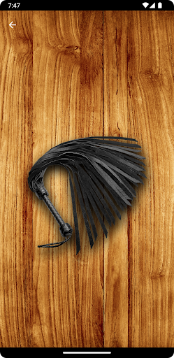 Whip Simulator - Pocket Whip PC