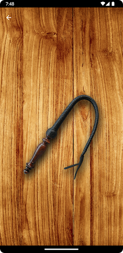 Whip Simulator - Pocket Whip PC