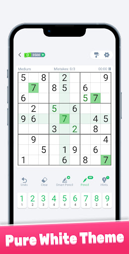 Sudoku: themes & challenges