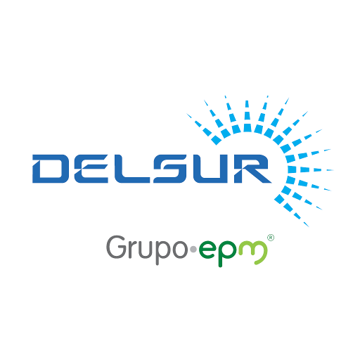 Delsur