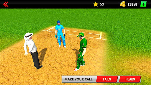 Real World Cricket League 19: پی سی