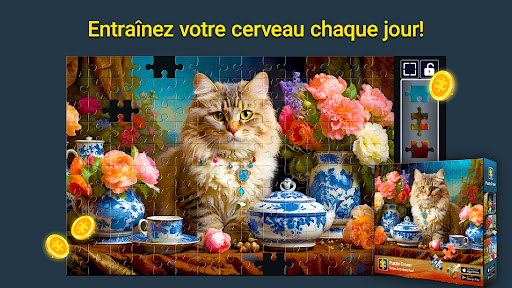 Puzzle Crown | Jeux Casse-tête PC